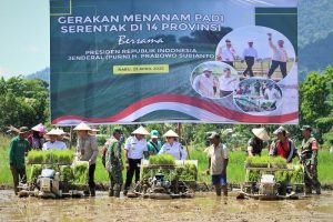 tanam-padi-serentak-205048843