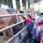 Ria Norsan Pastikan Bantuan Hewan Kurban Menjangkau 14 Kabupaten/Kota di Kalbar